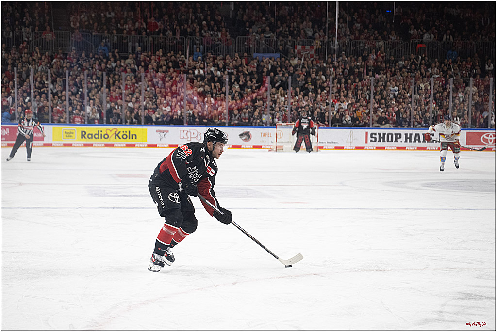 PENNY DEL 1; Kölner Haie - Düsseldorfer EG ; Köln, 16.02.2025